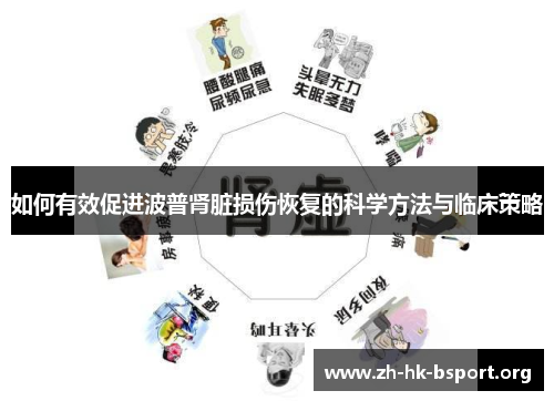 如何有效促进波普肾脏损伤恢复的科学方法与临床策略
