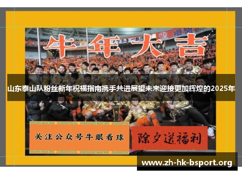 山东泰山队粉丝新年祝福指南携手共进展望未来迎接更加辉煌的2025年