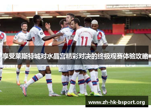 享受莱斯特城对水晶宫精彩对决的终极观赛体验攻略