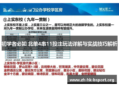初学者必知 北单4串11投注玩法详解与实战技巧解析