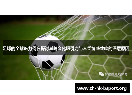足球的全球魅力何在探讨其跨文化吸引力与人类情感共鸣的深层原因